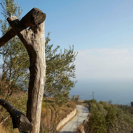 Villa Thea Μακρυράχη Εξωτερικό φωτογραφία