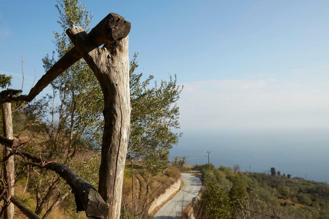 Villa Thea Μακρυράχη Εξωτερικό φωτογραφία
