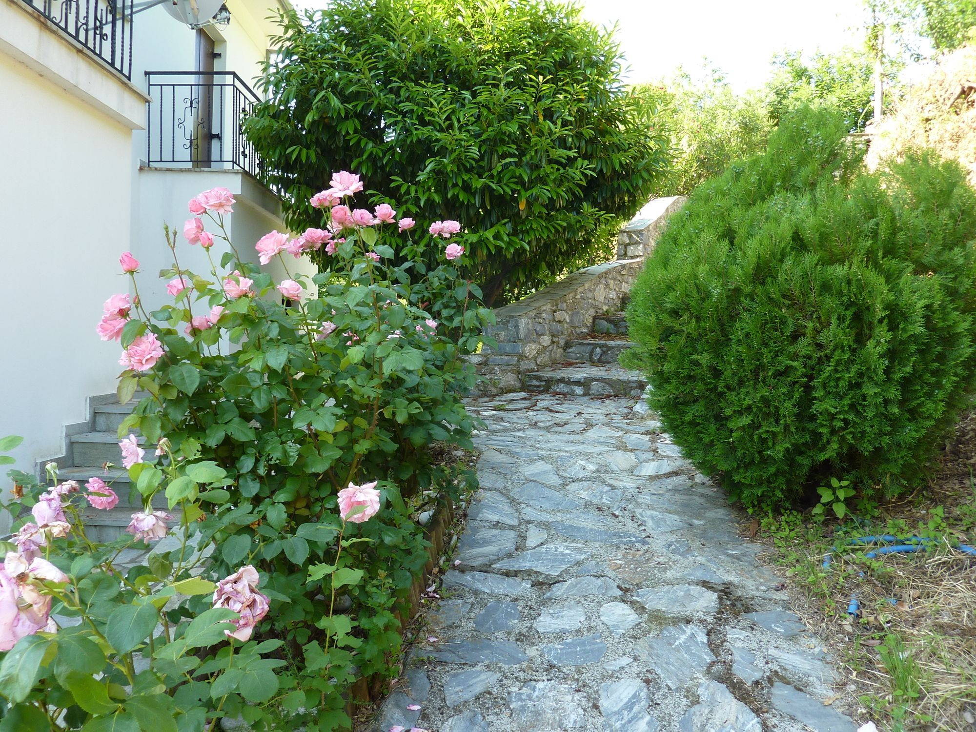 Villa Thea Μακρυράχη Εξωτερικό φωτογραφία